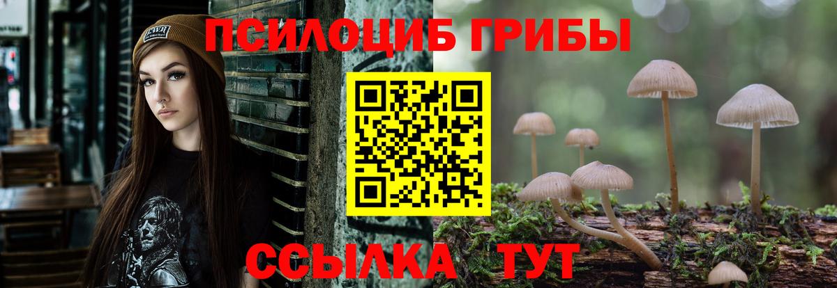 Дивногорск  наркотики  Вход с VPN  Псилоцибиновые грибы мицелий 
